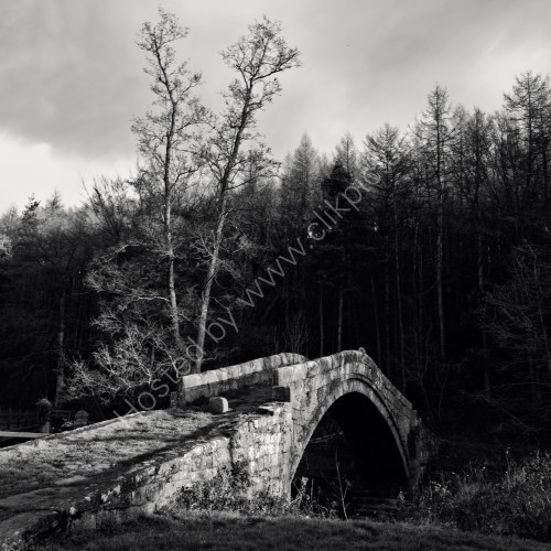 North Yorkshire
