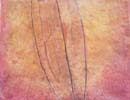 Clematis 40x50cm mixed media