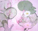Lily Image on Top of Image 24x30cm collage