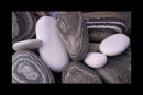 "White words like stones one picks up by the seashore" - digital colour photograph