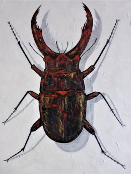 Stag Beetle