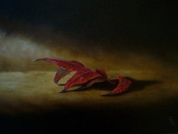 THE LAST RAY OF LIGHT