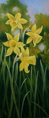 DAFFODIL'S ( SOLD)
