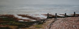 SEASALTER