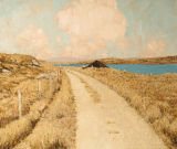 Donegal landscape