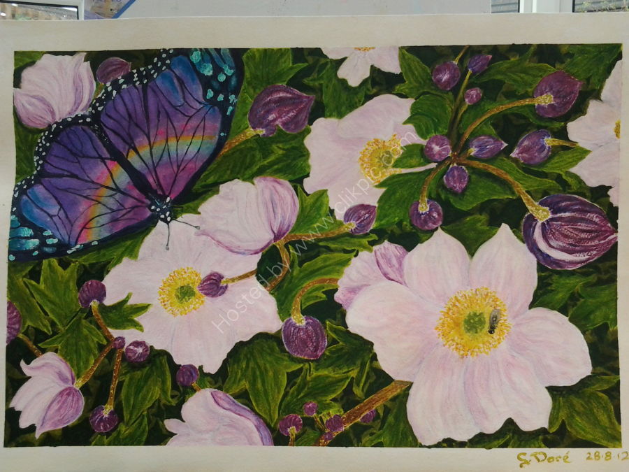 Purple Butterfly, Pink Flowers
