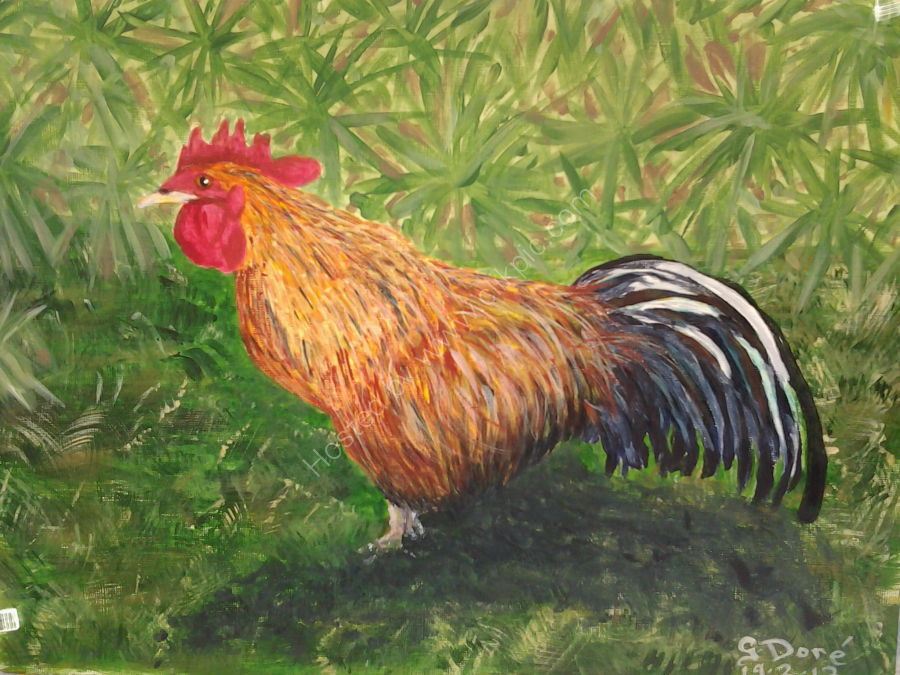 Wild Cockrell