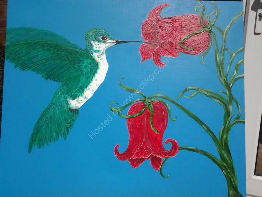 Hummingbird and Campanula