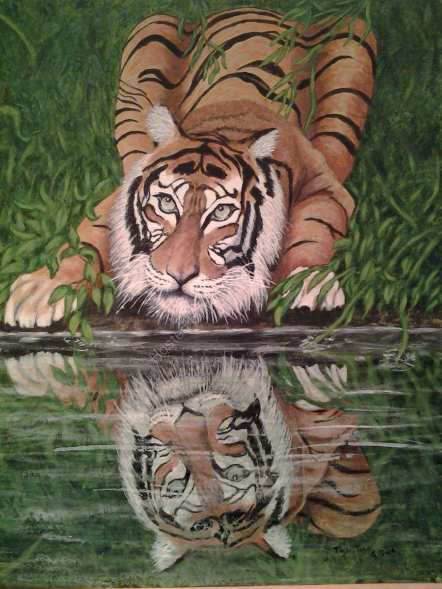 Tiger, Tiger