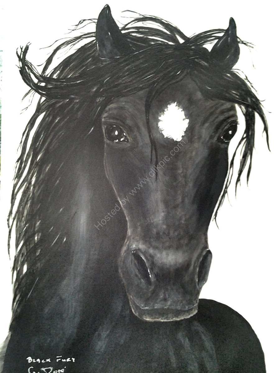 Black Fury