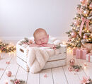CHRISTMAS CRATE PINK COMP