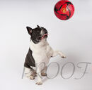 DSC00747andMANU BALL