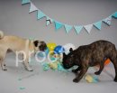 DSC00941