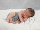 DSC00977GREY