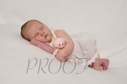 DSC01305PINKTED