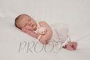DSC01305PINKTED