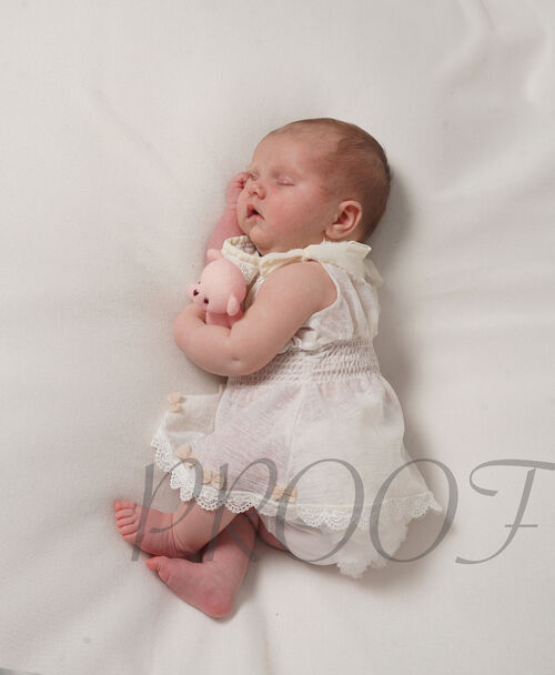 DSC01310PINKTED