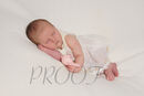 DSC01315PINKTED