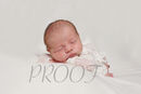 Newborn BELLA