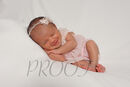 Newborn NUSAYBAH