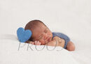 DSC01858BLUE