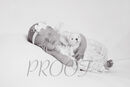 DSC01948BW