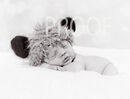 DSC01954BW