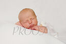 Newborn ADAM ALI