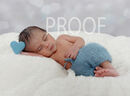 DSC02135BLUE