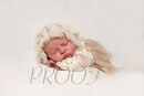 Newborn PIPER
