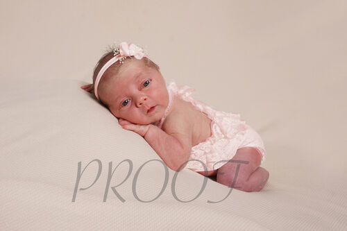 DSC02610 PINK