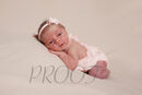 DSC02610 PINK