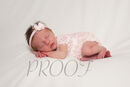 DSC03534PINK