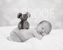 DSC03794BW