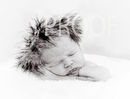 DSC03807BW