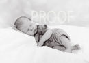 DSC03844BW