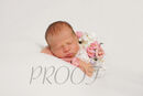 Newborn NELLY