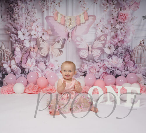 DSC05174ONE