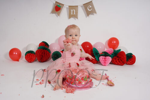DSC06390