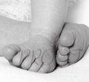 DSC07196FEETBW