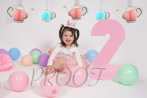 DSC07212AND TWO and bunting