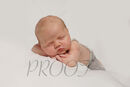 Newborn WILLIAM 