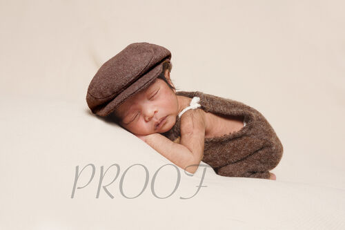 DSC09404BROWNHAT