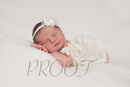 Newborn LOLCIE