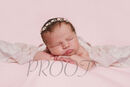 DSC09455PINK