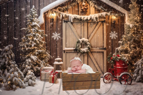 ELIZABETH CHRISTMAS BARN DOOR