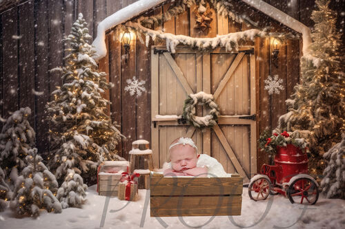 ELIZABETH CHRISTMAS BARN DOOR copy