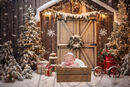 ELIZABETH CHRISTMAS BARN DOOR copy