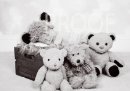 GEORGE and TEDS BW