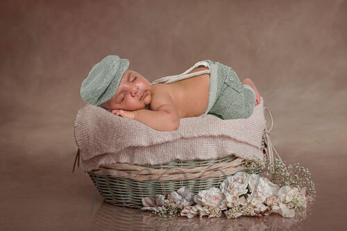 GREEN BASKET COMP